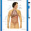 Thumbnail: Digestive System - Wipe-off Easel