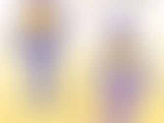 anatomical chart on Dermatomes