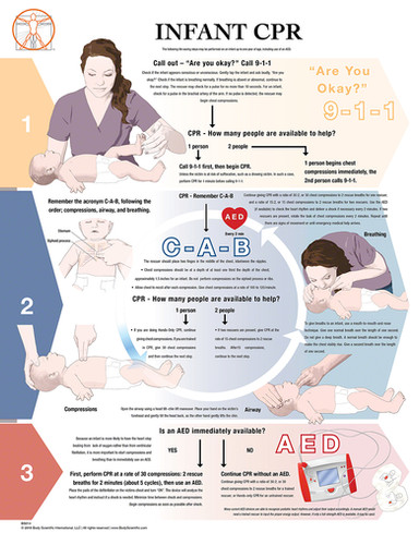 Infant CPR - Anatomical Wall Chart | BSI Catalog