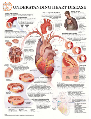 Heart Problem Chart Understanding Heart Disease - Anatomical Wall Chart | BSI Catalog