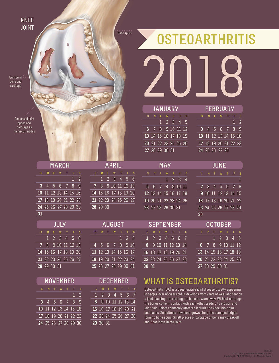 Osteoarthritis - Wall Calendar