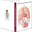 Thumbnail: Understanding Respiratory System - Medical Book (Tri-fold)