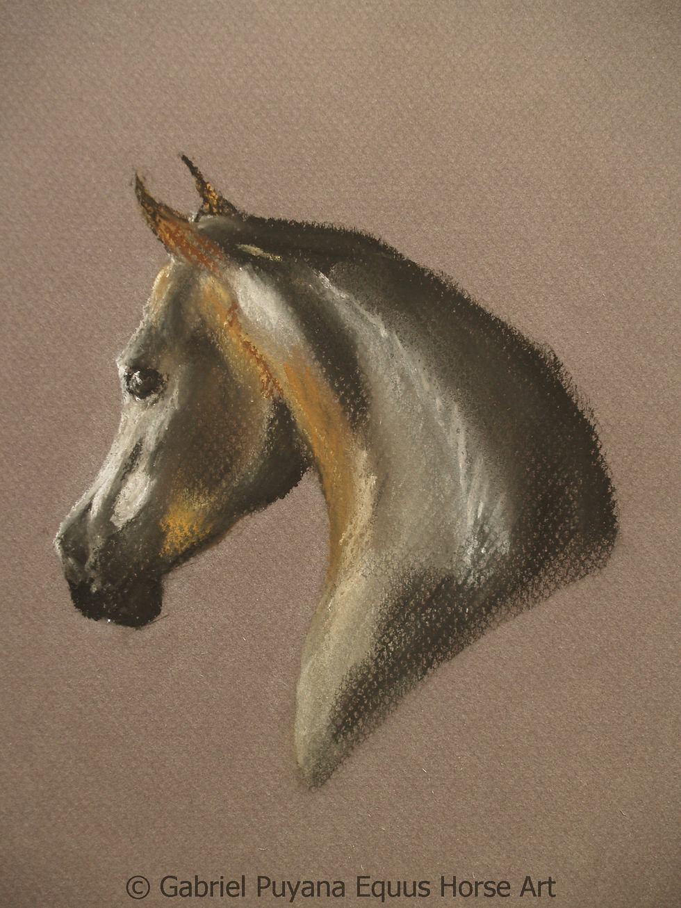P1018750.JPG