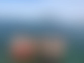 Sächsische Ringer international unterwegs