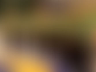 Aue gegen Markneukirchen - Sachsenderby ohne Fans