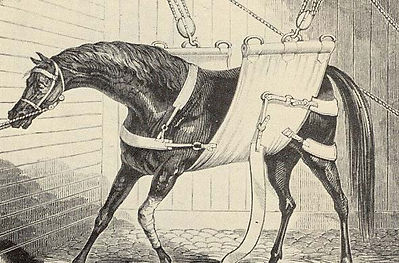 Slinging horse 1 31 05 cropped.jpg