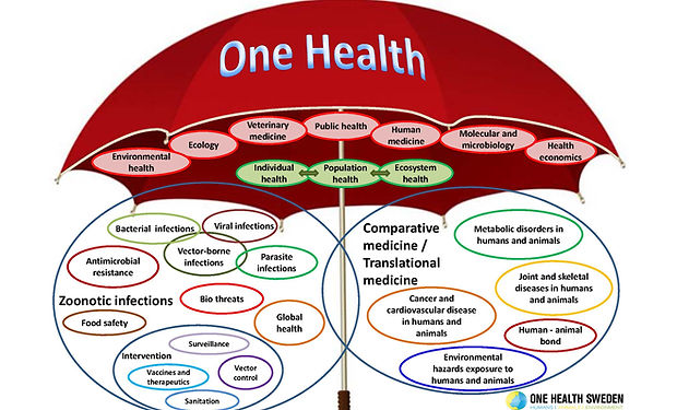 One Health Umbrella v12 BESTjpg.jpg