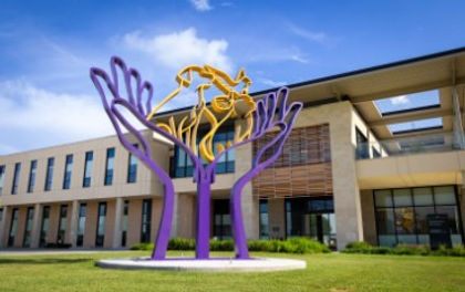 Louisiana State - Teaching hospital entrance.jpg