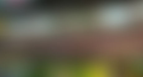 Un documentaire sur le FC Nantes ?