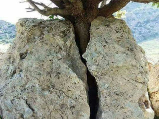 Quando nada é capaz de te impedir...