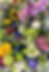 Build Your Own Bouquet-Indian Island Winery Janesville