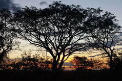 Puesta del sol