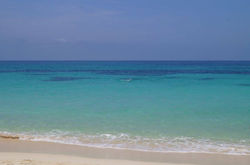 Facebook - Playa Blanca
Cartagena de las Indias - Colombia