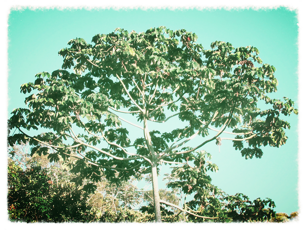 IMG_1056_edited.JPG