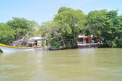 Facebook - Astillero
Cartagena de las Indias - Colombia
