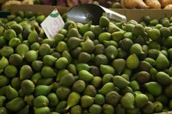 Figos verdes
