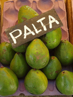 Palta