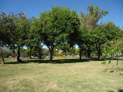 Parque Belgrano