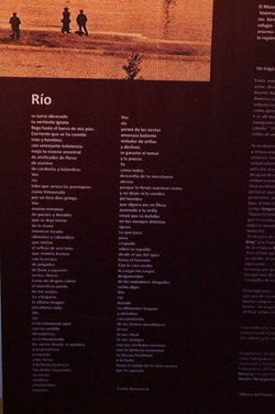 Poesia del rio
