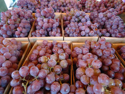 uvas