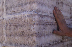 La pared de sal