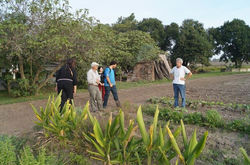 Charla y enseñanzas en la huerta