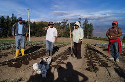 ECUA