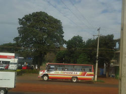 Omnibus
