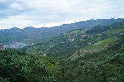 Paisajes del eje cafetero