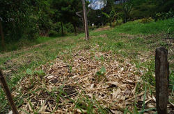 Facebook - La huerta
GraEco - Grupo de Agricultura Ecologica
Universidad Nacio