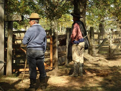 Gauchos Uruguayos