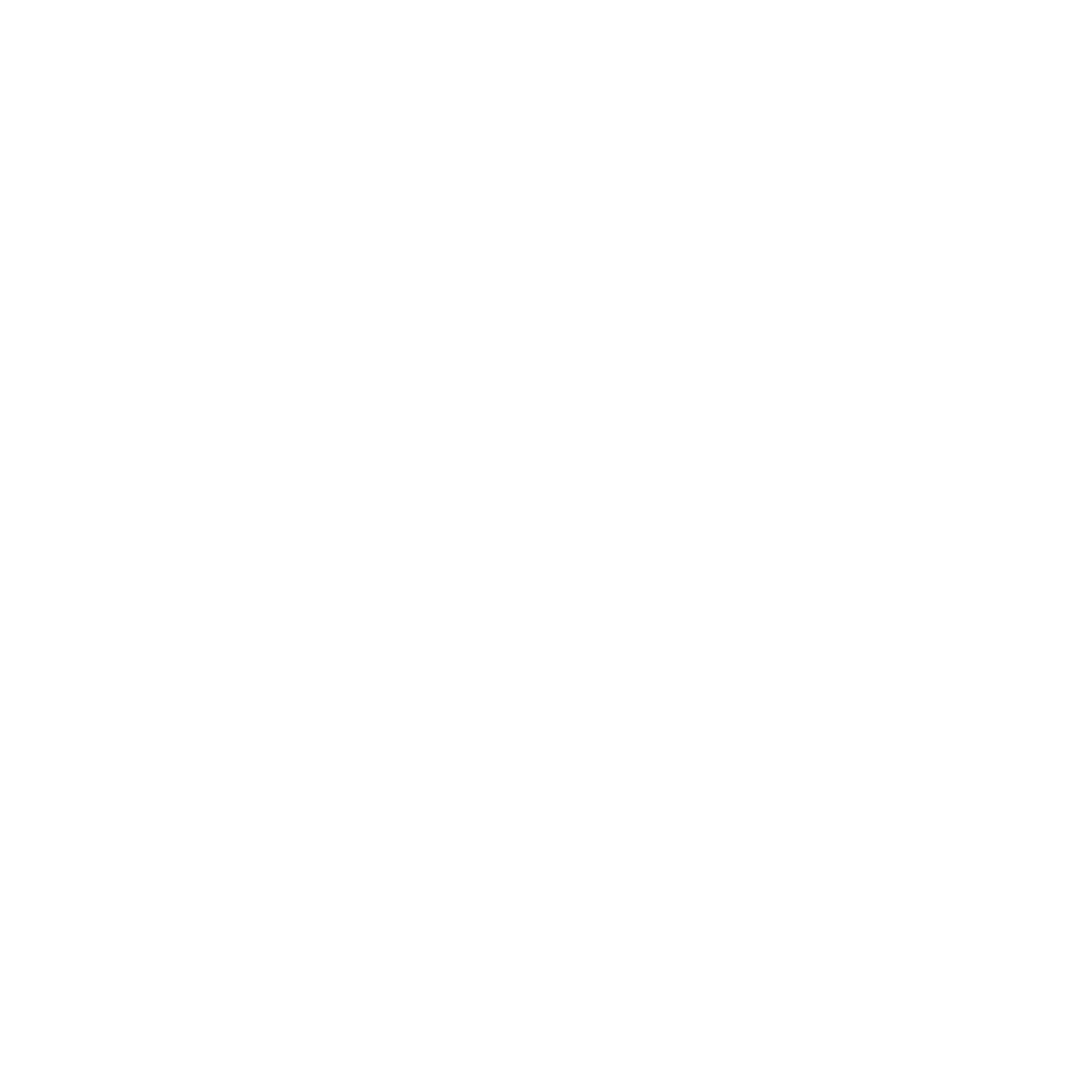 ESS_logo_BLANC_4x[1].png