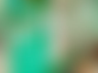 UPA Santa Terezinha promove ações educativas e preventivas