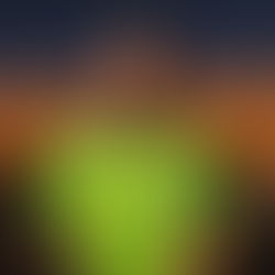 Fulham FC 2025 Preview