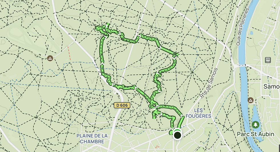 Map showing a green hiking loop route around Les Fougères and Parc St Aubin, near D606 and the river, with trail markers. Fontainebleau Forest Paris France