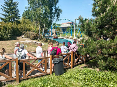 Day trip to Parc Astérix from Paris