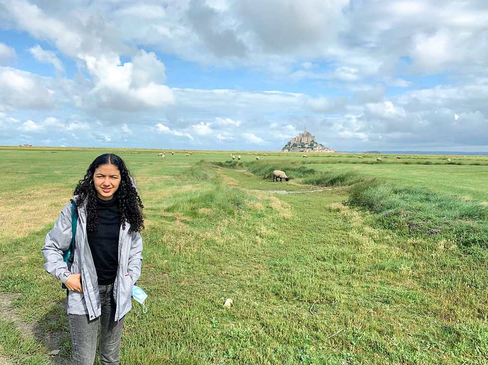 Woman in a gray jacket stands on a green field with sheep grazing. A distant island fortress and blue sky with clouds in the background. Mont Saint-Michel, Normandy, France. Pilgrimage