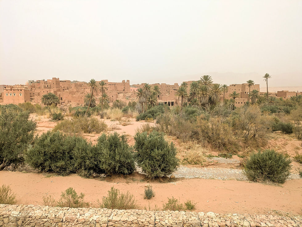 Desert village with brown adobe buildings, palm trees, and shrubs under a hazy sky. Arid landscape with a calm, timeless atmosphere. Tinghir Morocco Kasbah