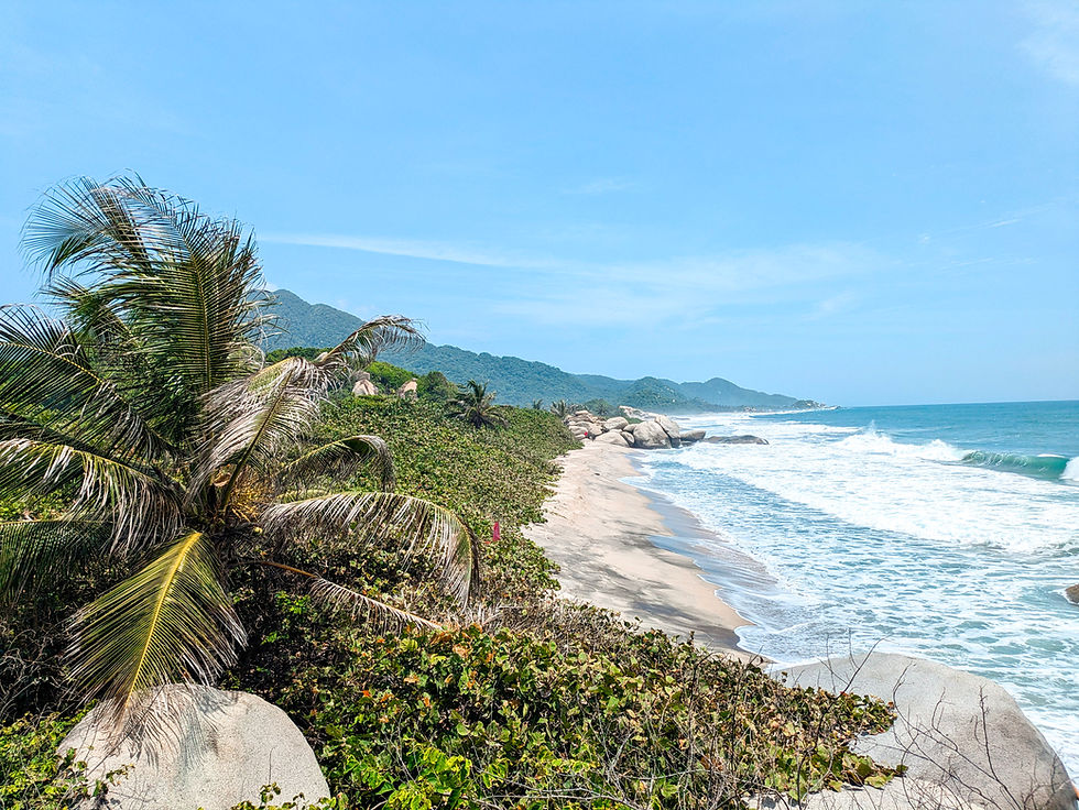 Sunny tropical beach with palm trees, rocky shore, blue waves, and green mountains under a clear sky Tayrona Park