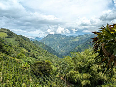 How to travel more sustainably in 2026