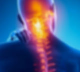 Traumatologia cranica e vertebrale