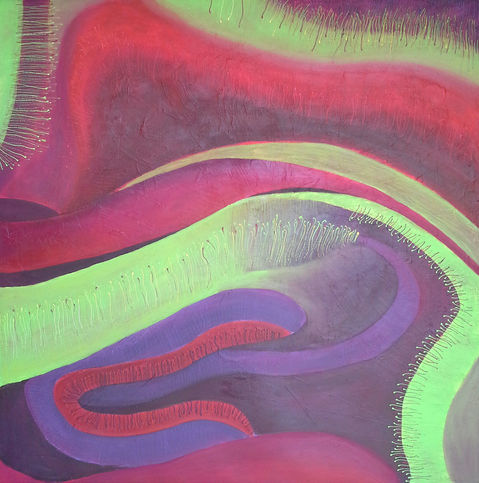 Hippocampe et cortex cérébral de souris traités avec des protéines fluorescentes