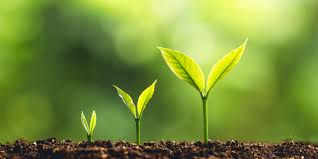 Sustainable Energy Source: Artificial Photosynthesis