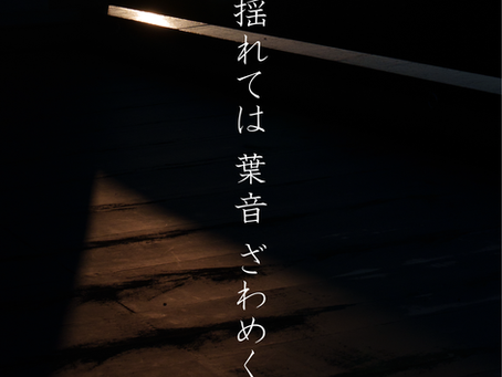 揺れては 葉音 ざわめく
