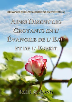 French31-SERMONS SUR L’ÉVANGILE DE MATTHIEU (V) - AINSI DIRENT LES CROYANTS EN L’ ÉVANGILE