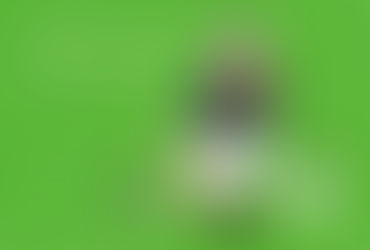 daike's factoryのネットショップ始動