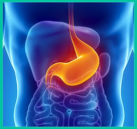 Exame de Endoscopia.png