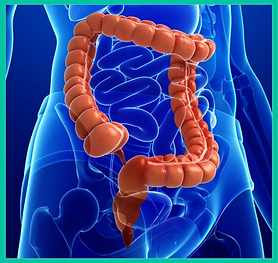 Exame de Retossigmoidoscopia Flexível.pn