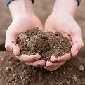 soil.jpg