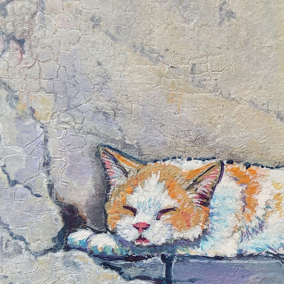 Thumbnail: Cat Nap #3